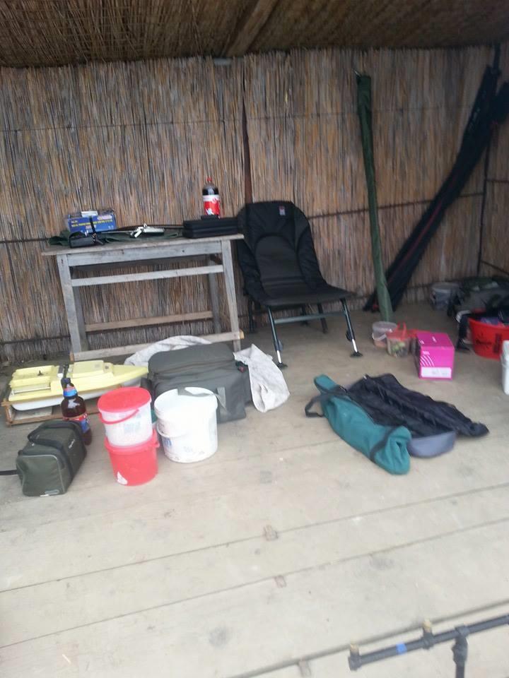 Tancabesti 1 - 2 mar. - z4.jpg